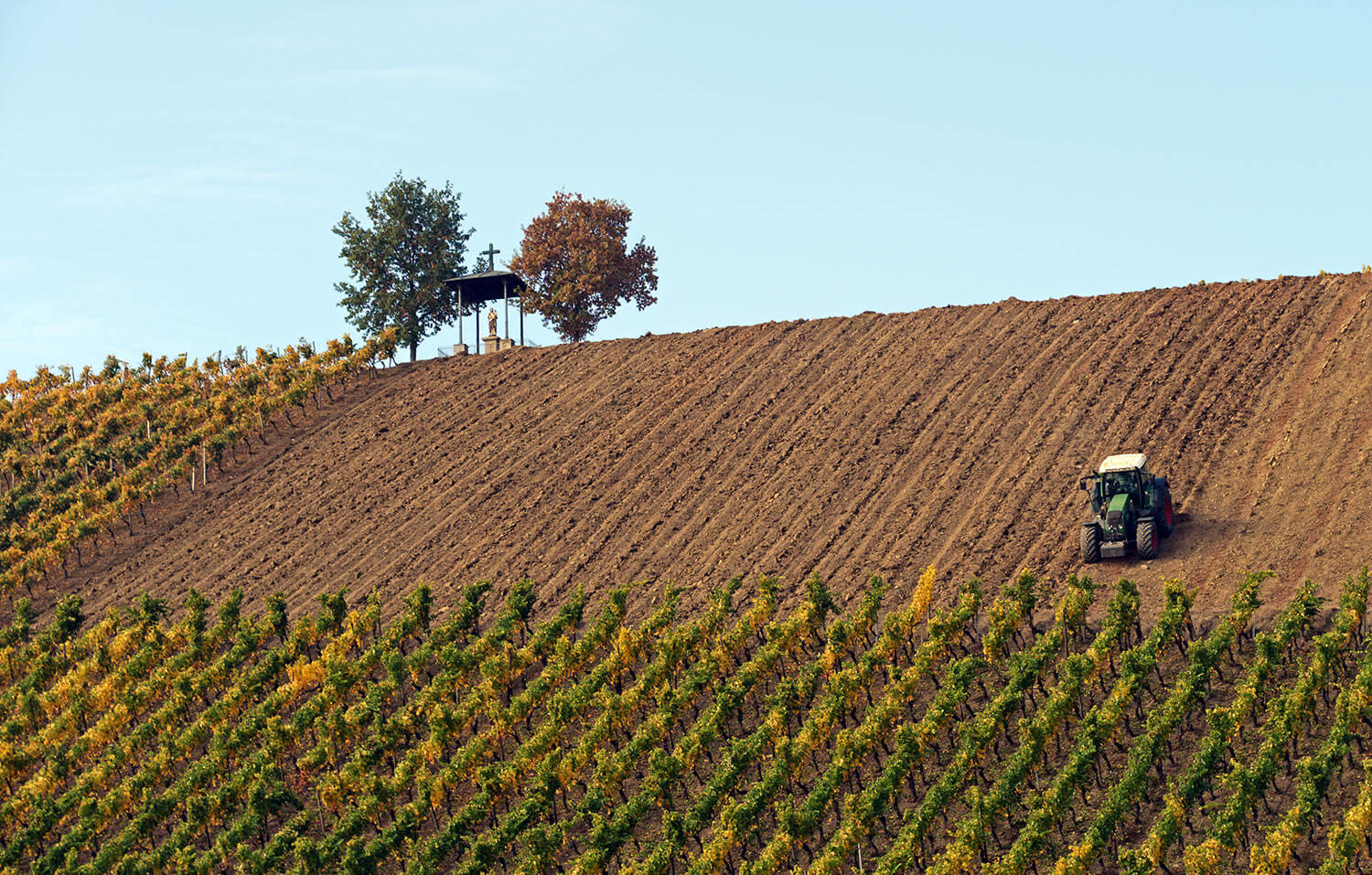 Tractor on the field