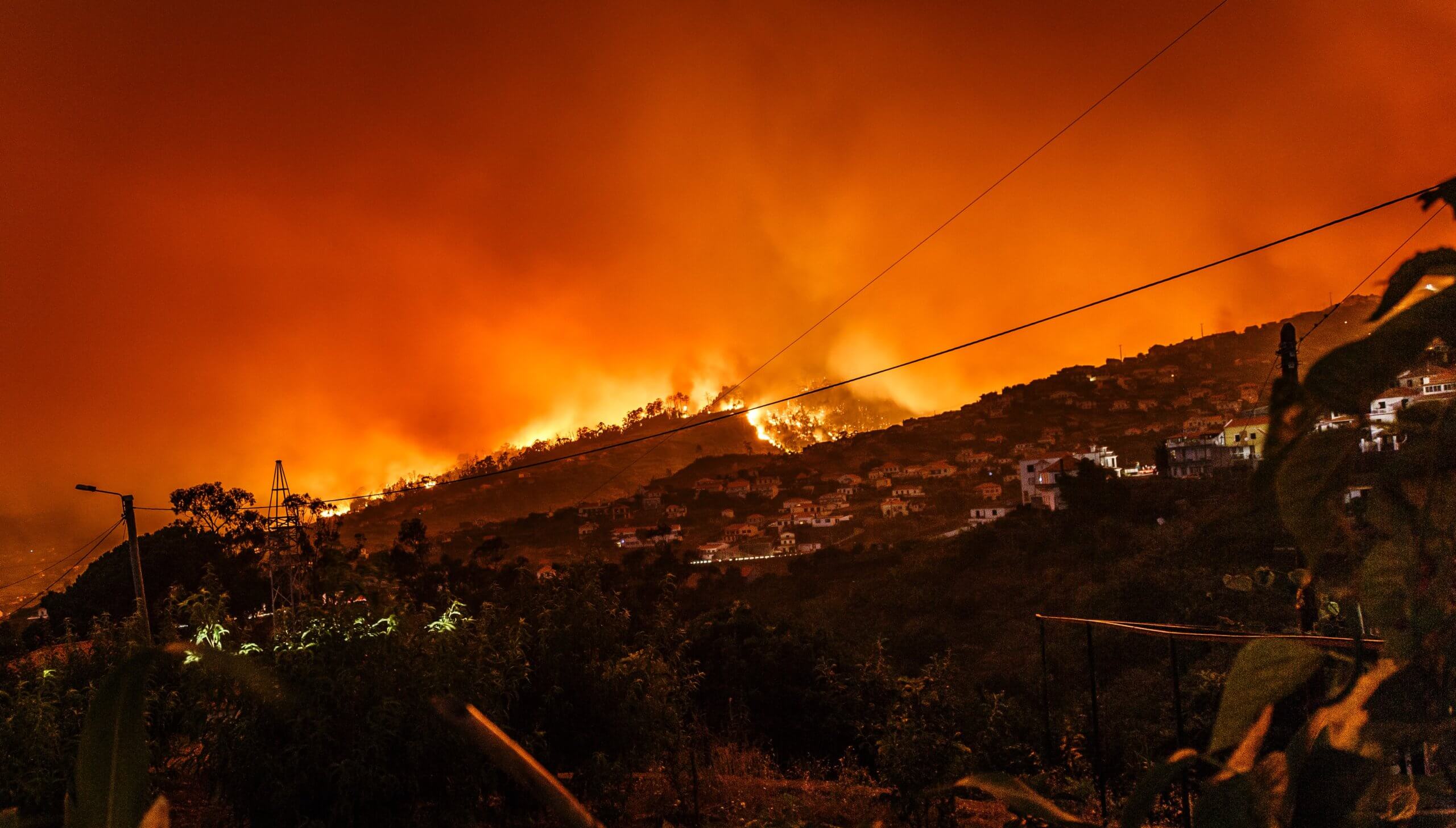 Image of a wildfire